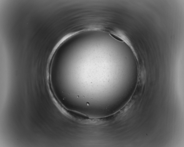 X0000085020811200703121541