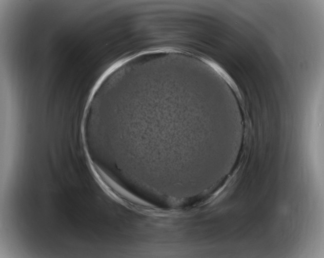 X0000085020813200703121541