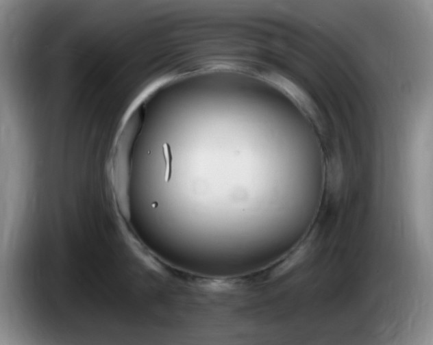 X0000085020814200703121541