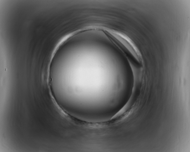 X0000085020815200703121541