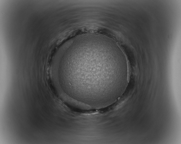 X0000085020818200703121540