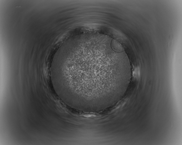 X0000085020819200703121540