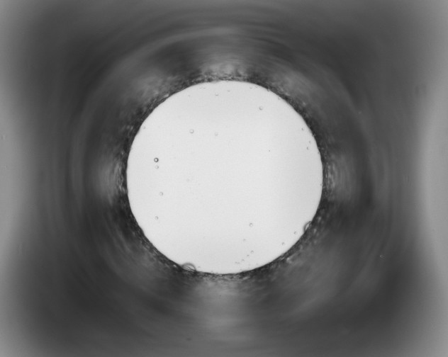 X0000085020820200703121540