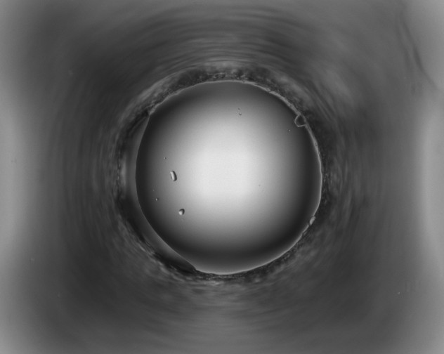 X0000085020821200703121540
