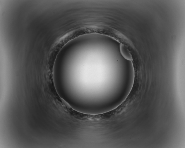 X0000085020822200703121540