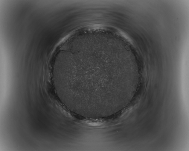 X0000085020823200703121540