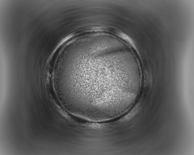 X0000085020827200703121541