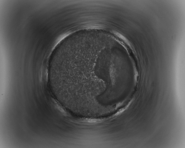 X0000085020829200703121541