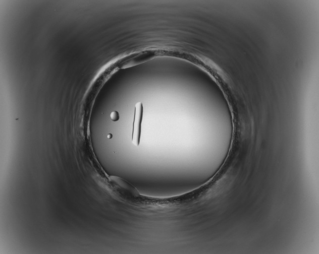 X0000085020830200703121541