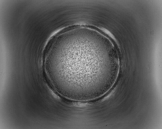 X0000085020831200703121541
