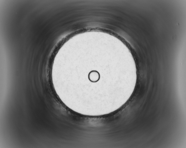 X0000085020832200703121541