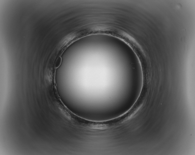 X0000085020833200703121541