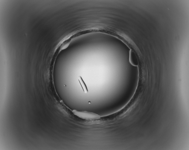 X0000085020834200703121541
