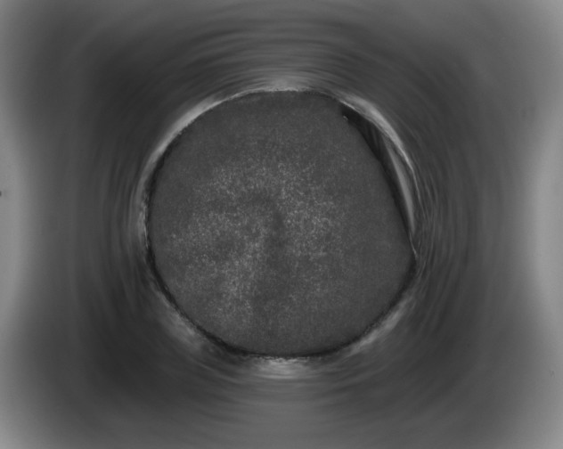 X0000085020835200703121541