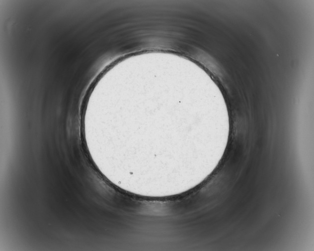 X0000085020836200703121541