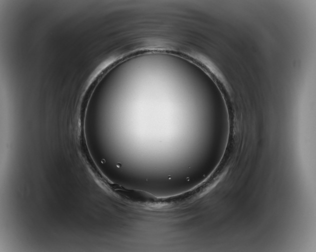 X0000085020837200703121541