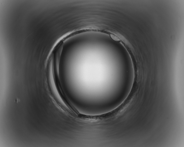 X0000085020838200703121541