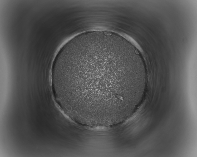 X0000085020839200703121541