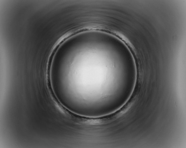 X0000085020845200703121541