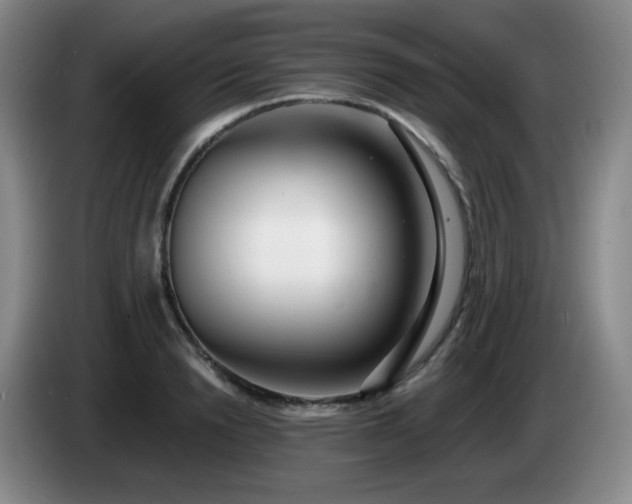 X0000085020846200703121541