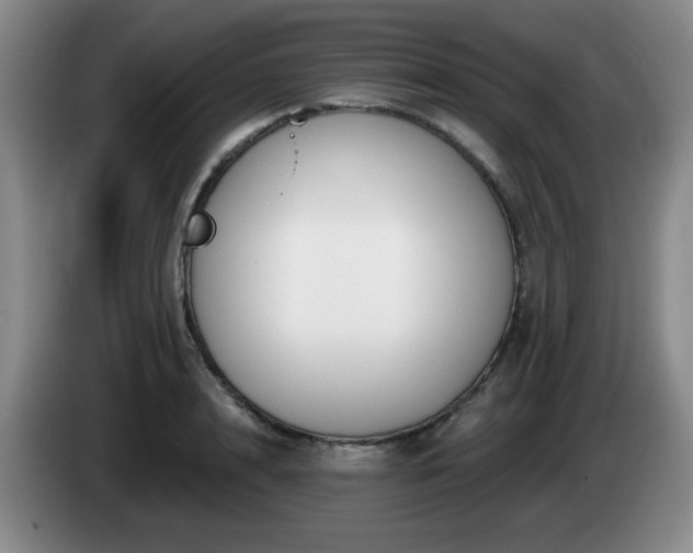 X0000085020848200703121541