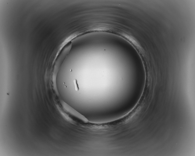 X0000085020850200703121541