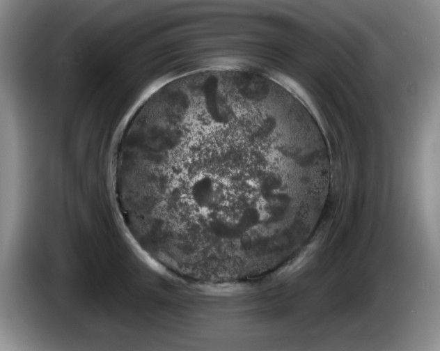 X0000085020851200703121541