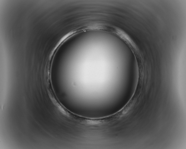 X0000085020852200703121541