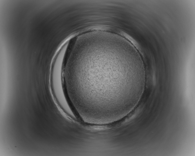 X0000085020853200703121541