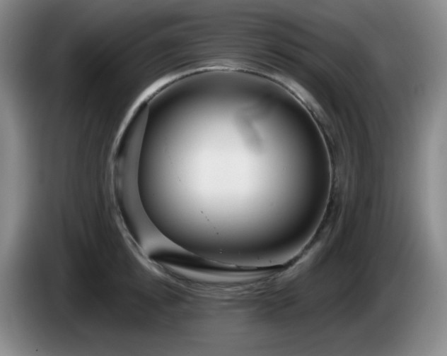 X0000085020854200703121541