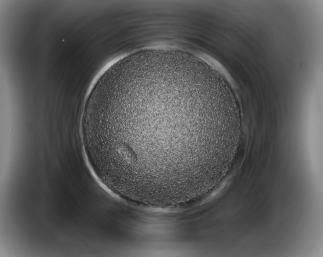 X0000085020855200703121541