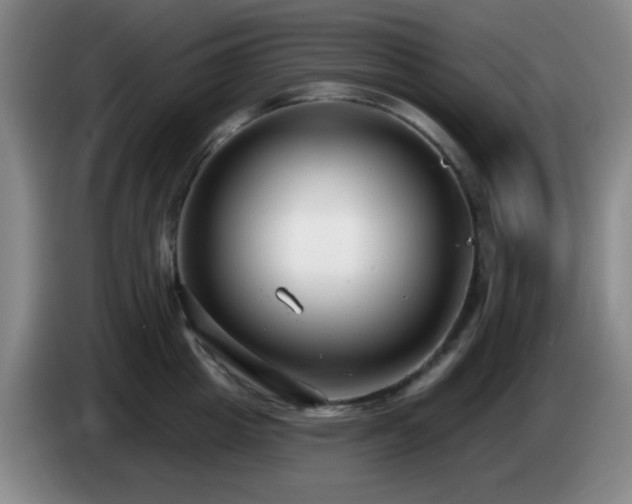 X0000085020857200703121541