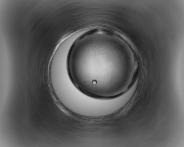 X0000085020858200703121541