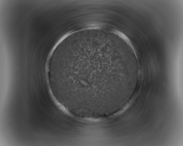 X0000085020859200703121541