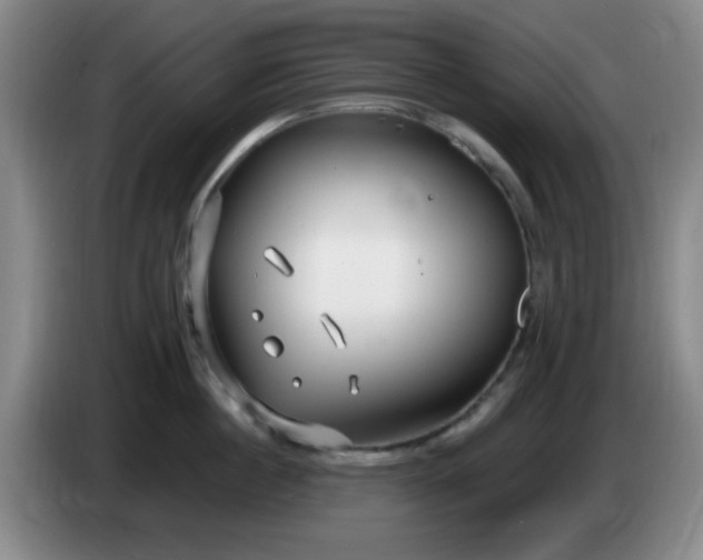 X0000085020860200703121541