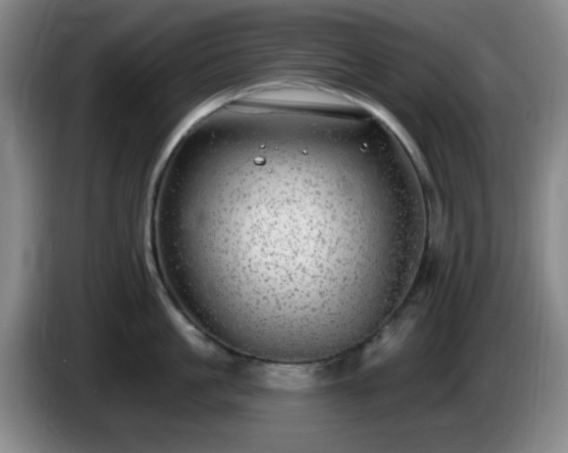 X0000085020861200703121541