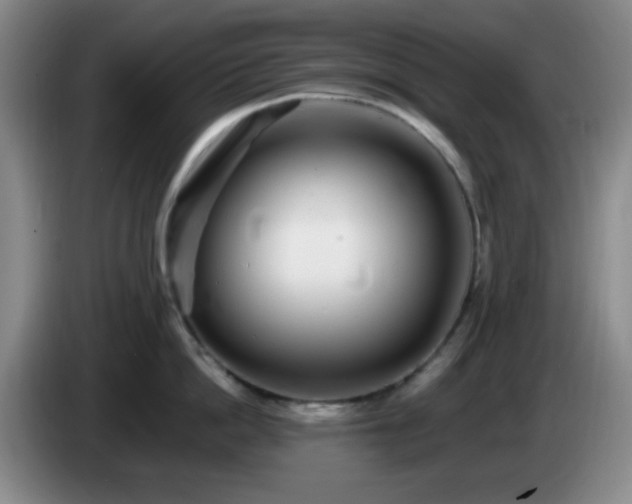 X0000085020862200703121541
