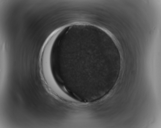 X0000085020864200703121541
