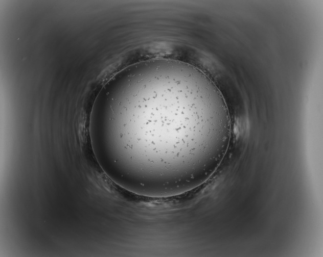 X0000085020867200703121540