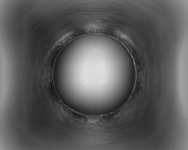 X0000085020870200703121540