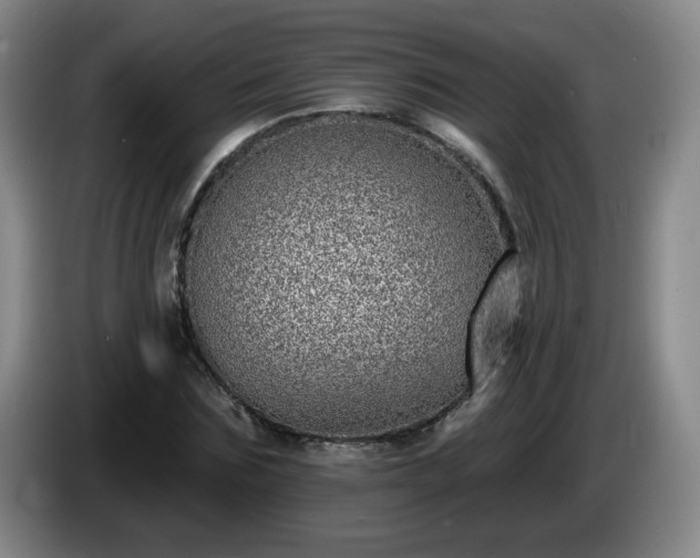 X0000085020875200703121540