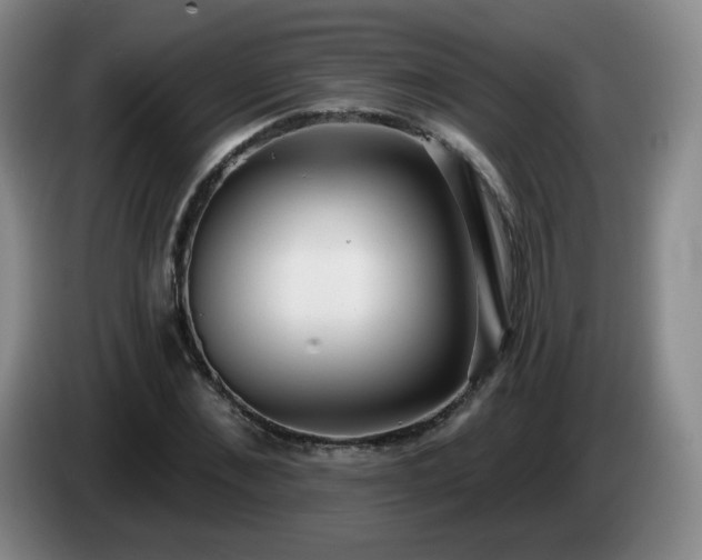 X0000085020876200703121540