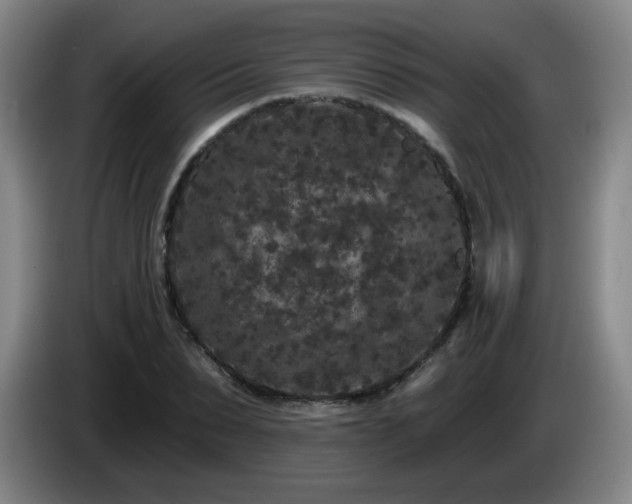 X0000085020879200703121540