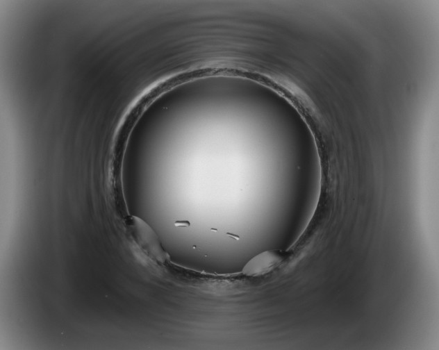 X0000085020880200703121540