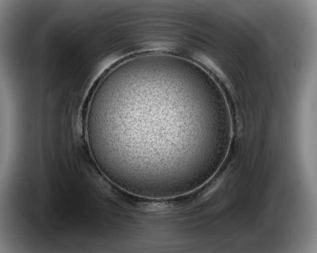 X0000085020883200703121540