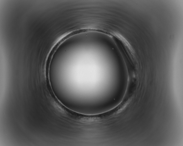 X0000085020884200703121540