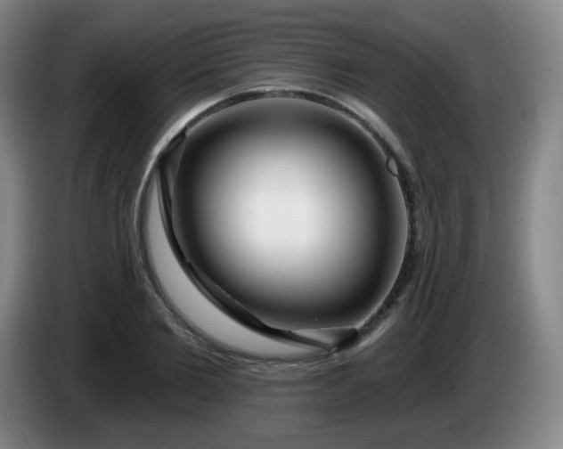 X0000085020885200703121540