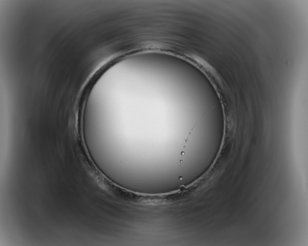 X0000085020886200703121540