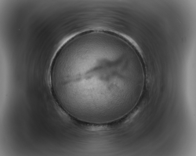 X0000085020887200703121540