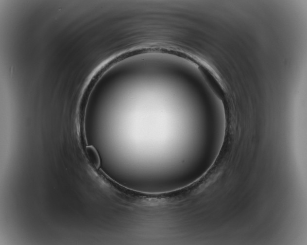 X0000085020888200703121540